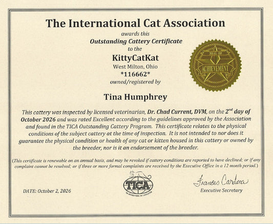 🏆 Exciting News from KittyCatKat — We’re a TICA Outstanding Cattery!