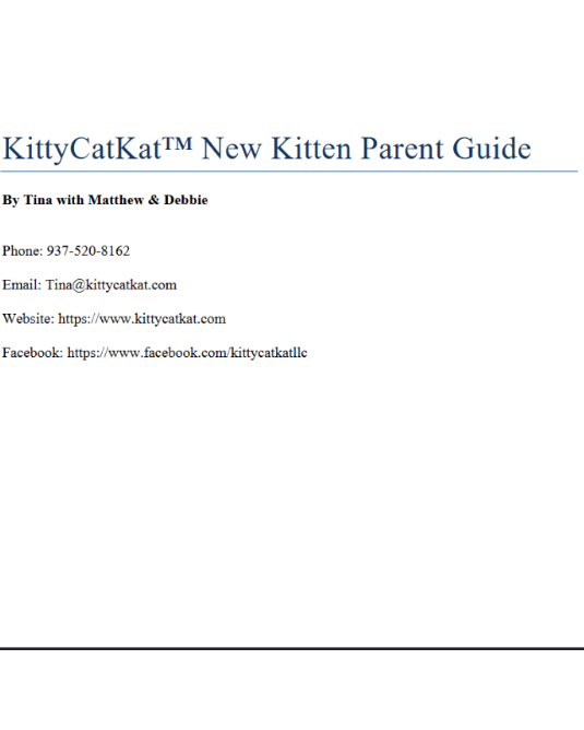 Screen capture of a document titled 'KittyCatKat New Kitten Parent Guide' on a computer screen.