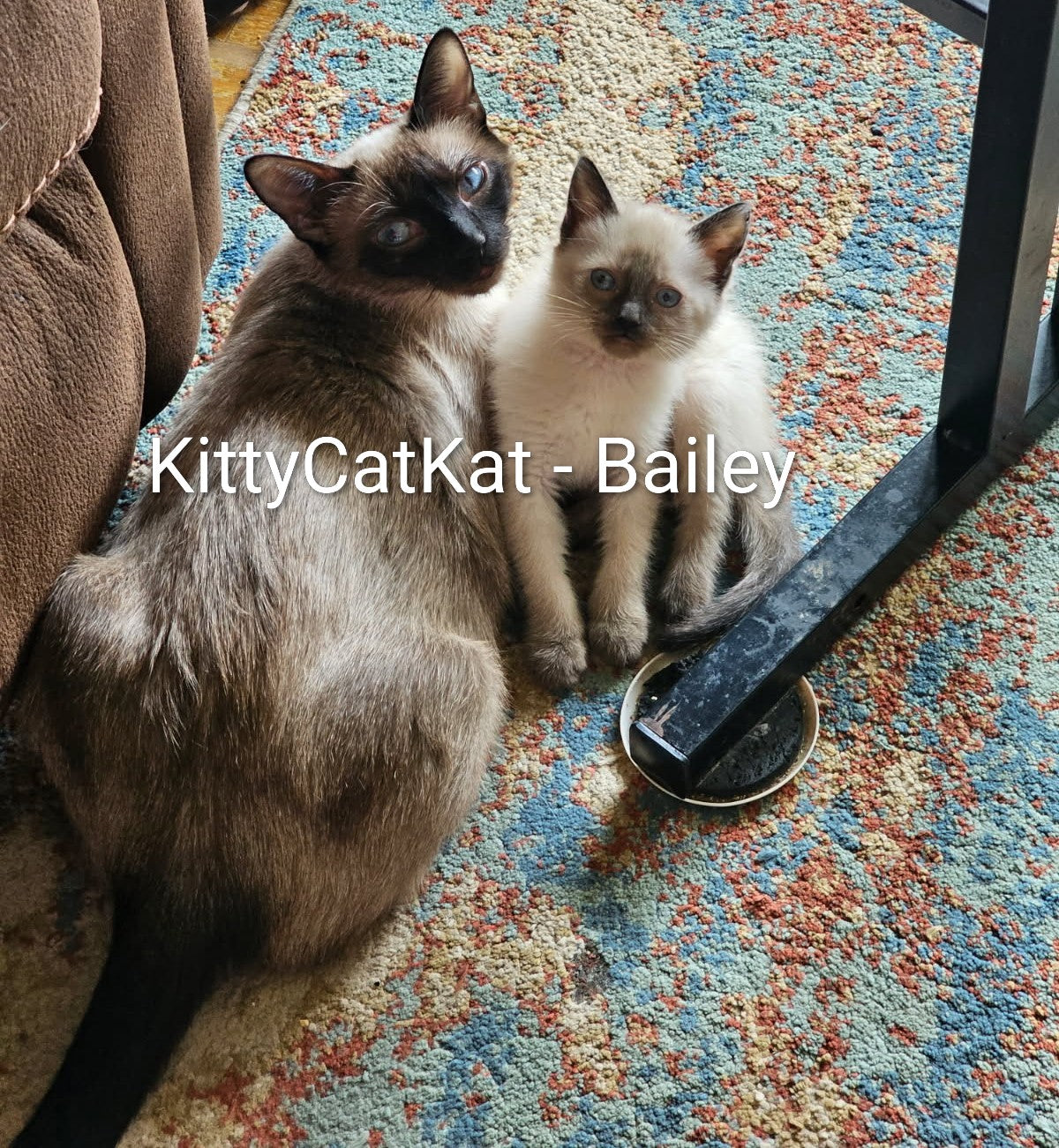 Bailey & Pappion