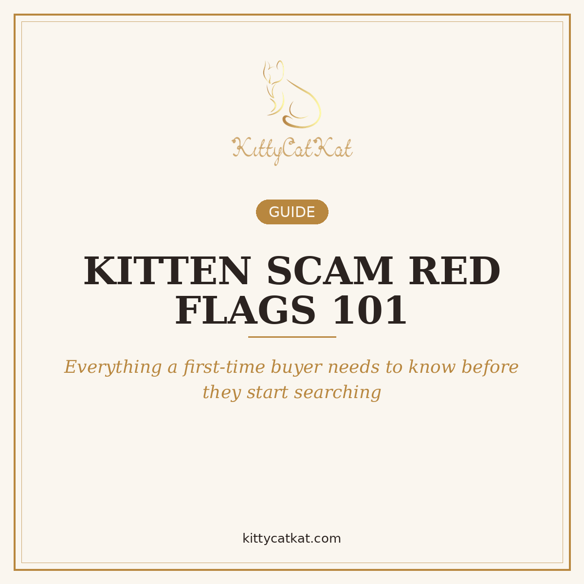 Kitten Scam Red Flags 101 — First-Time Buyer's Guide