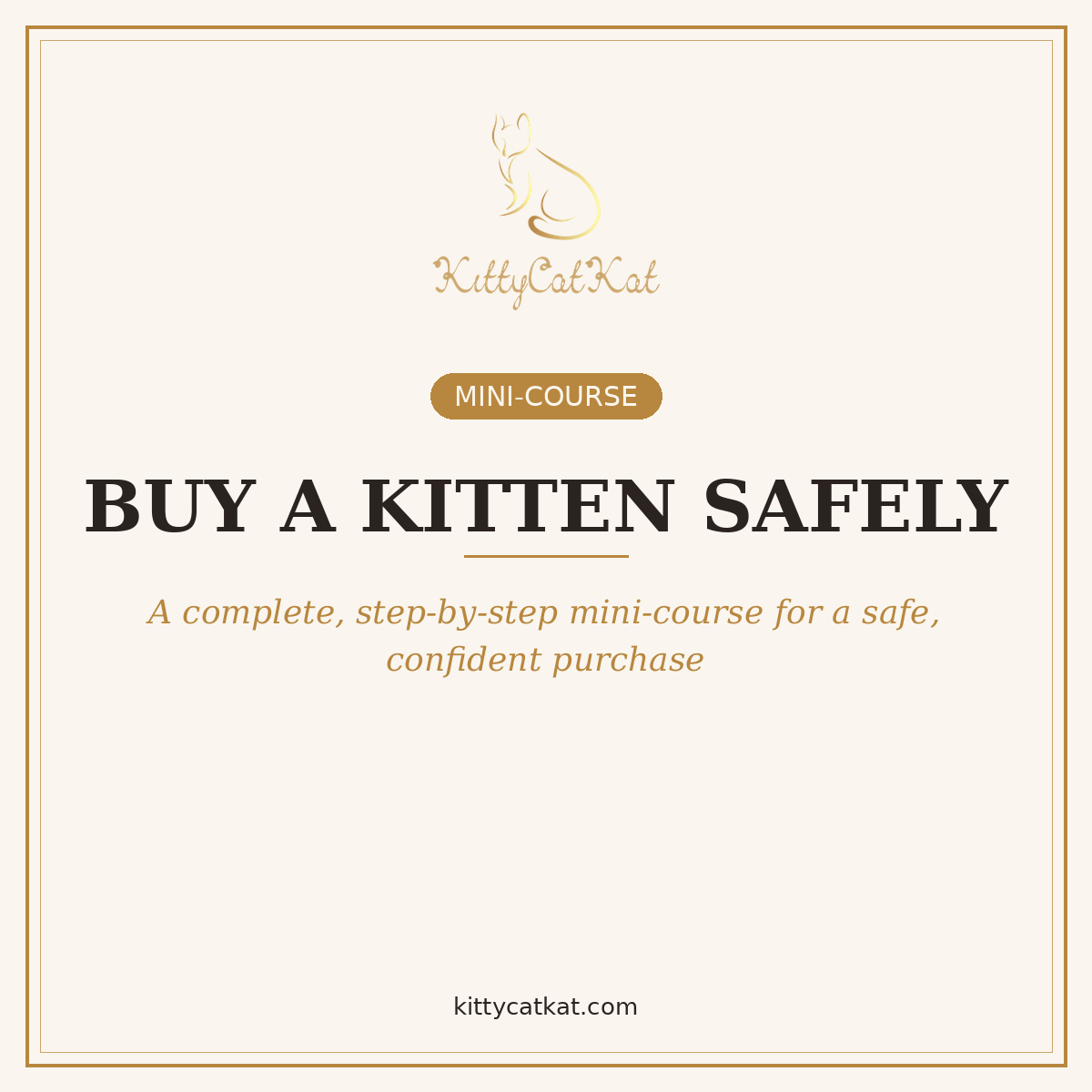 Buy a Kitten Safely: Start to Finish — Complete Mini-Course